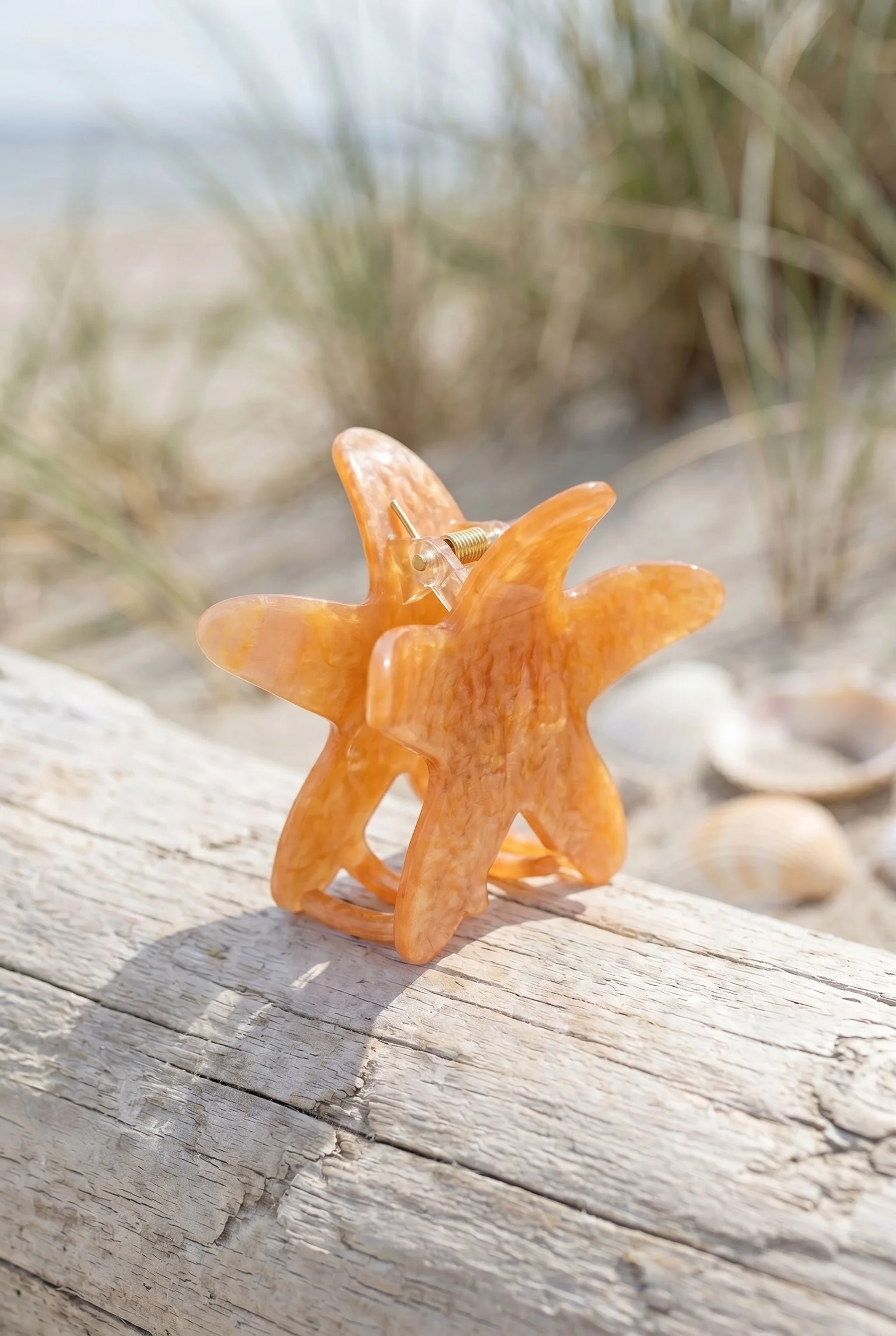 Miniatuur 5
